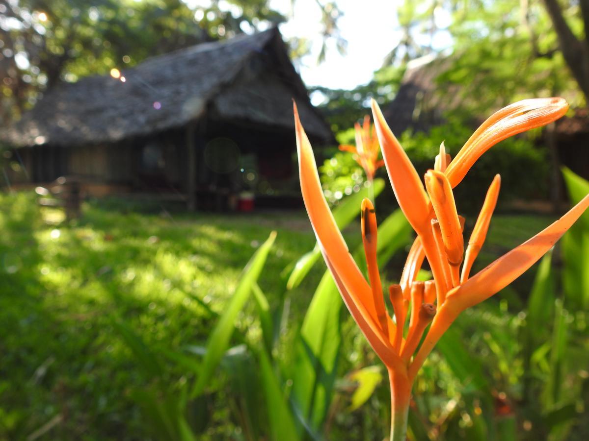 Peponi Beach Resort Pangani 외부 사진